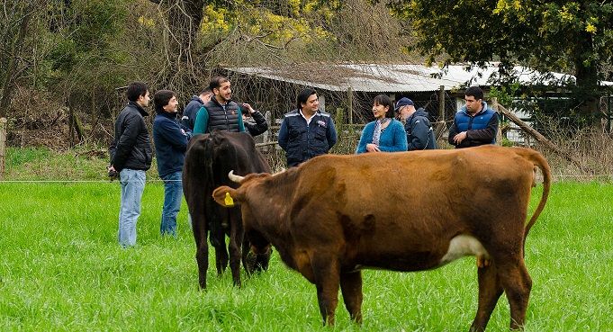 EXITOSO EMPRENDIMIENTO EN LOS ÁNGELES: MAMÁ CON SU HIJO SACAN ADELANTE QUESERÍA COMPLEMENTANDO SUS CONOCIMIENTOS