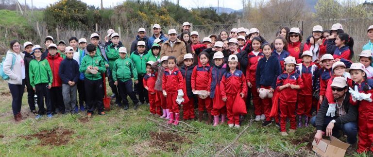 ESTUDIANTES CAÑETINOS REALIZAN REFORESTACIÓN DE HUMEDAL CUATRO TUBOS