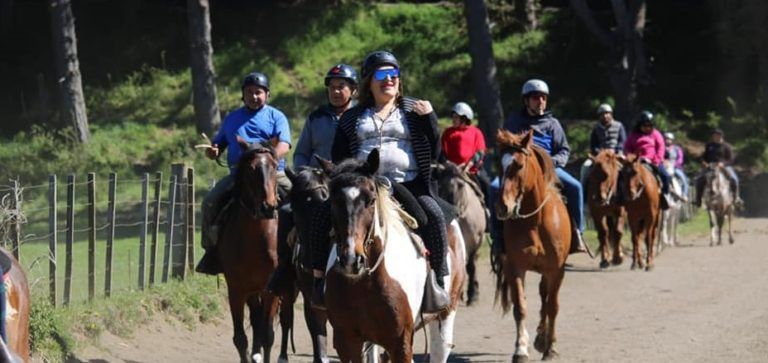 EMPRENDEDORES TURÍSTICOS CONOCIERON LA EXPERIENCIA DE SUS PARES ARGENTINOS