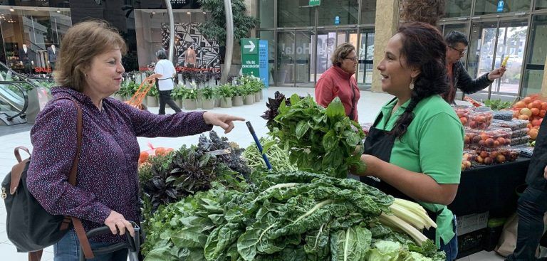 PRODUCTORES AGRÍCOLAS SE INSTALAN EN MALL PLAZA TRÉBOL