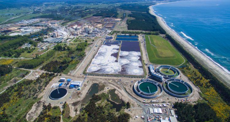 ARAUCO INFORMA SOBRE CONTAGIO DE COVID-19 EN PLANTA CELULOSA HORCONES