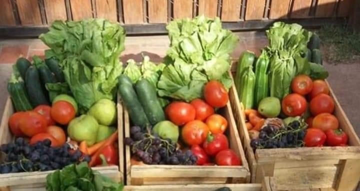 INDAP JUNTO A AGRICULTORES DE BIOBIO CREARON MERCADO CAMPESINO ONLINE PARA OFRECER SUS PRODUCTOS