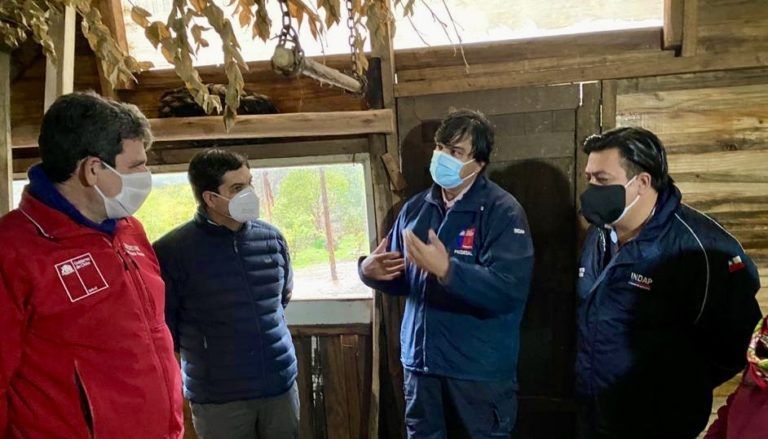 Subsecretario de Agricultura destacó el trabajo de los pequeños productores de Indap ante la pandemia en el Biobío
