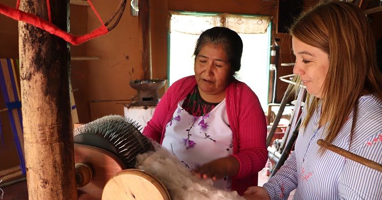 CONADI DA CUENTA DE SU OFERTA PARA LOS EMPRENDEDORES MAPUCHE DE BIOBÍO, MAULE Y ÑUBLE