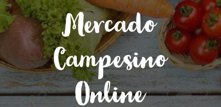 TUS COMPRAS EN EL MERCADO CAMPESINO ONLINE DE INDAP