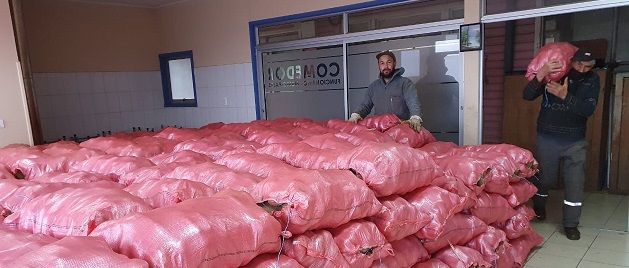 PEQUEÑO PRODUCTOR DE PAPAS VENDIÓ 500 SACOS AL MUNICIPIO DE LOS ÁLAMOS