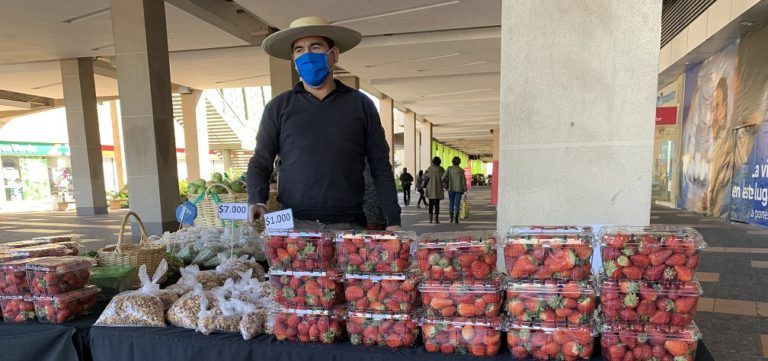 ACHIPIA CAPACITA EN MANEJO DEL COVID-19 A PRODUCTORES QUE INTEGRAN LOS MERCADOS CAMPESINOS Y FERIAS DE INDAP BIOBIO
