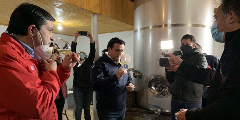VIÑETEROS DEL BIOBÍO HACEN FRENTE A LA CONTINGENCIA CON NUEVAS FORMAS DE COMERCIALIZAR