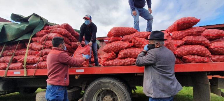 ALAMEÑOS DESTACAN A NIVEL REGIONAL EN PRODUCCIÓN Y COMERCIALIZACIÓN DE SEMILLAS DE PAPAS CERTIFICADAS