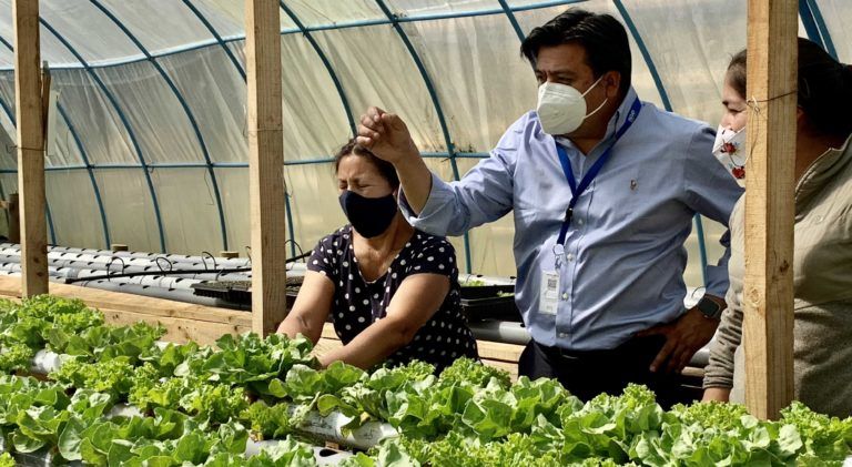 TRES GENERACIONES SACAN ADELANTE PROYECTO DE HORTALIZAS HIDROPÓNICAS EN SANTA JUANA