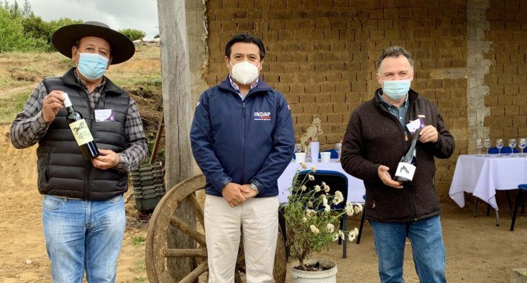 PRODUCTORES VINIVINÍCOLAS DEL TERRITORIO ITATA SUR PRESENTAN SUS MOSTOS CON CATA DE VINOS