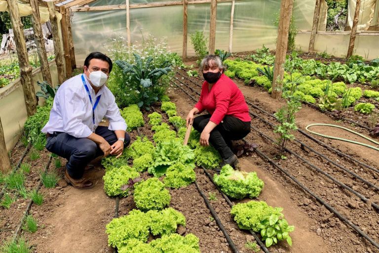 AGRICULTORES DE ARAUCO RECIBEN MILLONARIOS RECURSOS PARA MEJORAR SUS PROYECTOS