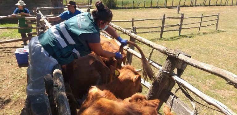SAG BIOBÍO INICIÓ TRABAJO EN VERANADAS EN LA REGIÓN
