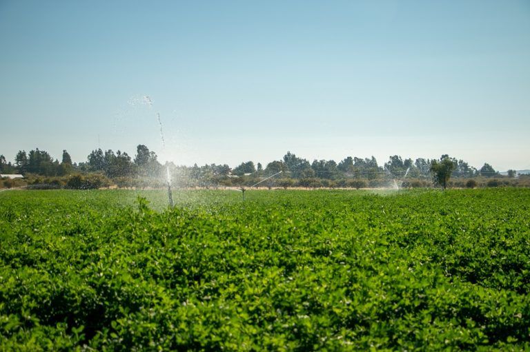 INDAP ABORDA DESAFÍOS 2021 EN RIEGO PARA LA PEQUEÑA AGRICULTURA