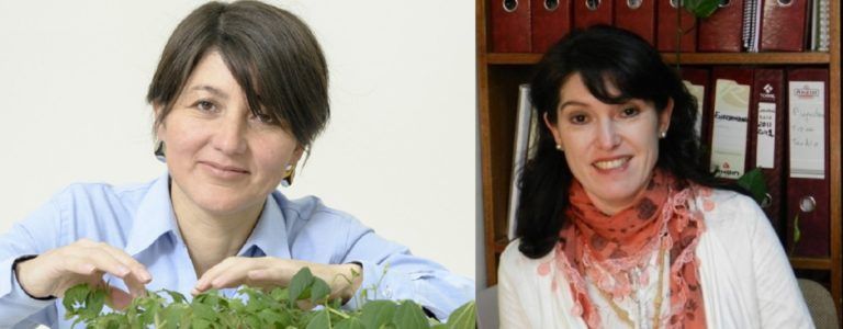 DOS INVESTIGADORAS DE INIA SON FINALISTAS DEL PREMIO CIENTIFICO INNOVADOR 2020