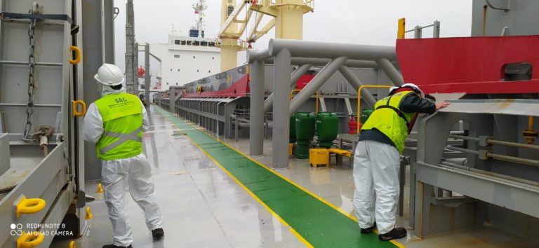 SAG INTENSIFICA INSPECCIONES DE NAVES PROVENIENTES DE ÁREAS DE RIESGO DE LYMANTRIA DISPAR