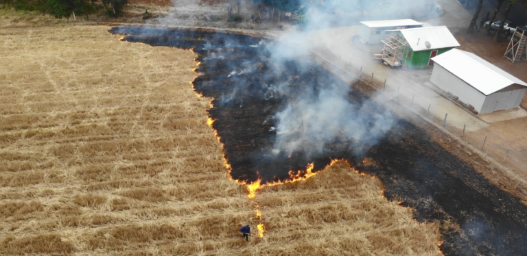 CONAF REFUERZA LLAMADO A PREVENIR LOS INCENDIOS FORESTALES DURANTE ESTE FIN DE SEMANA