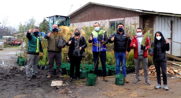 CONAF INICIÓ PROYECTO COMUNITARIO DE ARBORIZACIÓN EN LOS ÁLAMOS JUNTO A VECINOS Y EL MUNICIPIO
