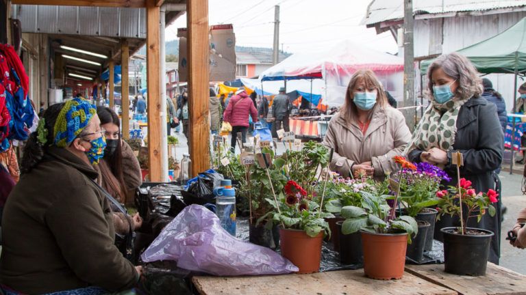 CURANILAHUE: ALCALDESA RECOGIÓ SALUDOS Y PROPUESTAS DE FERIANTES