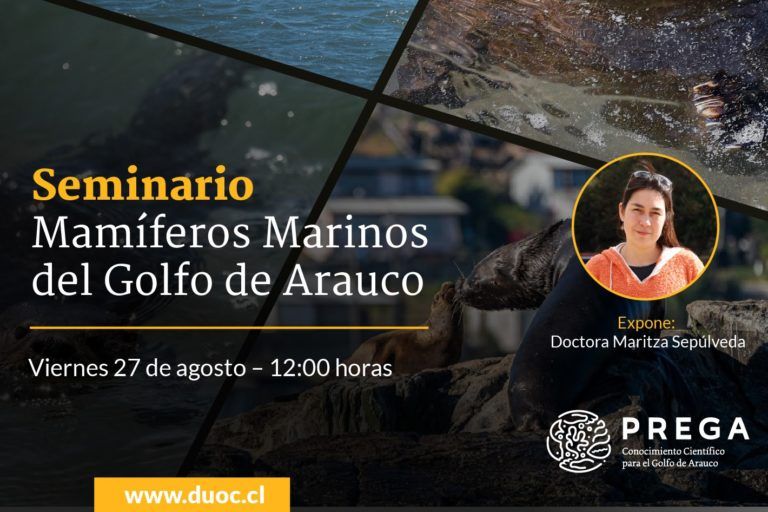 Invitación Seminario Online “Mamíferos del Golfo de Arauco”