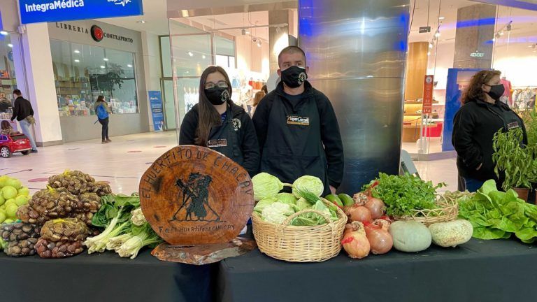 USUARIOS DE INDAP BIOBÍO REACTIVAN SU ECONOMÍA A TRAVÉS DE FERIAS Y MERCADO CAMPESINO EN MALLPLAZA TRÉBOL