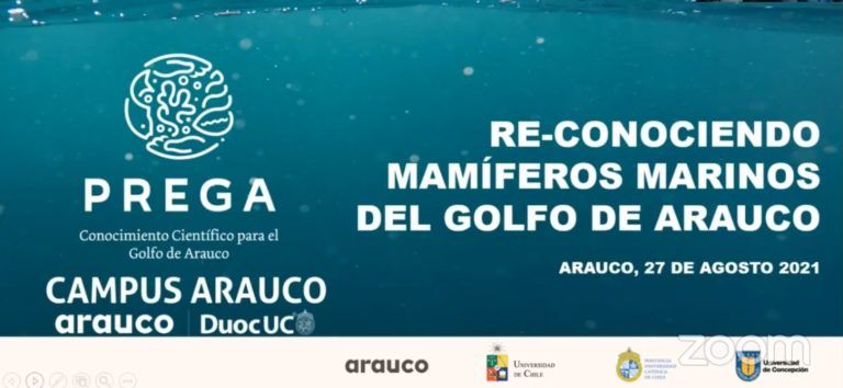 SEMINARIO RE- CONOCIENDO LOS MAMÍFEROS MARINOS DEL GOLFO DE ARAUCO