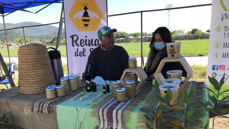 APICULTORES SE REUNIERON EN QUILLÓN PARA PARTICIPAR DE SEMINARIO QUE ABORDA LOS DESAFÍOS DEL TRABAJO EN COLMENAS POST PANDEMIA