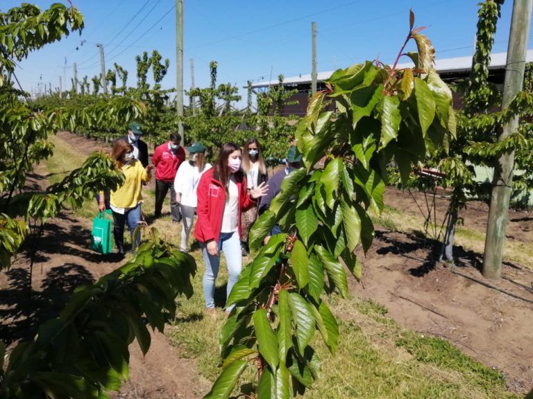 GOBIERNO LANZA “SÚMATE AL AGRO” PARA IMPULSAR PUESTOS DE TRABAJO EN EL SECTOR AGRÍCOLA DEL BIOBÍO