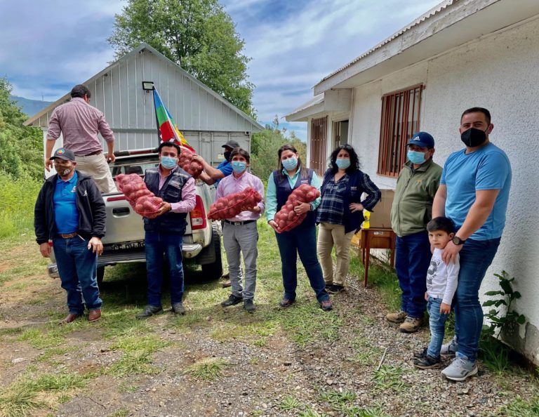COOPERATIVA MAPUCHE DE TIRÚA DONA 6.500 KILOS DE PAPAS A COMUNIDAD PEHUENCHE DE ALTO BIOBÍO