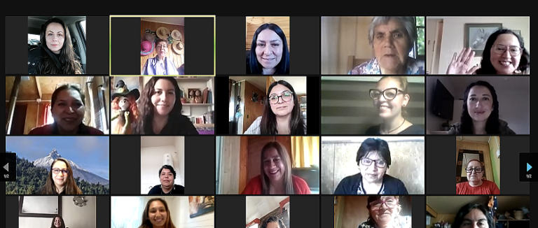 Emprendedoras de la provincia de Arauco son capacitadas en programa Mujeres con Energía de Frontel