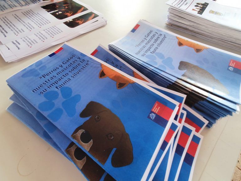CIEN MASCOTAS FUERON ATENDIDAS EN EL EXITOSO OPERATIVO DE TENENCIA RESPONSABLE