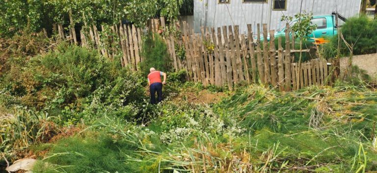 CONSTRUYEN CORTAFUEGOS EN DISTINTOS SECTORES DE LA COMUNA DE LOS ÁLAMOS