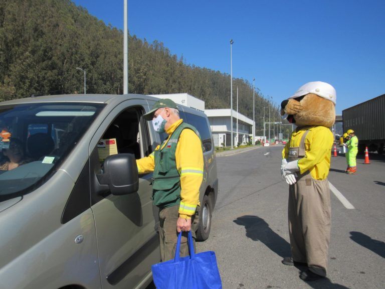 CONAF INSISTE EN LLAMADO A PREVENIR INCENDIOS FORESTALES DURANTE ESTE FIN DE SEMANA LARGO
