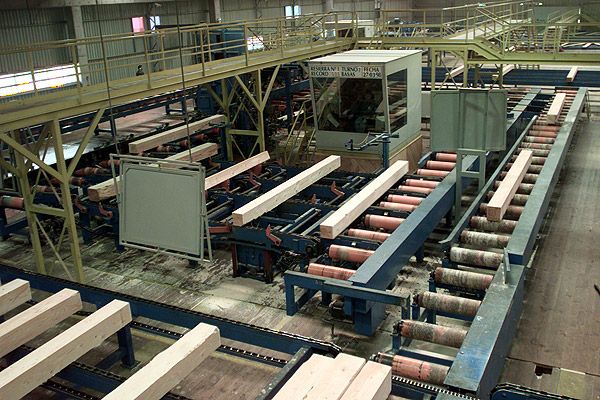 Empresa ARAUCO suspenderá algunas operaciones productivas por bloqueo en sus accesos