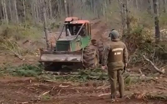 CINCO DETENIDOS POR ROBO DE MADERA DEJÓ OPERATIVO POLICIAL EN LA PROVINCIA DE ARAUCO