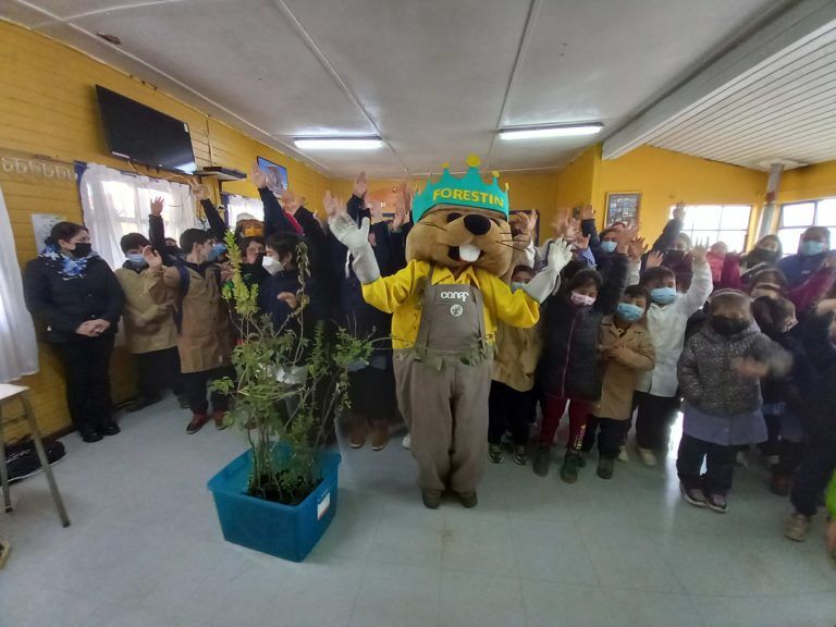 300 profesores capacitados por CONAF para implementar Programa de Educación Ambiental