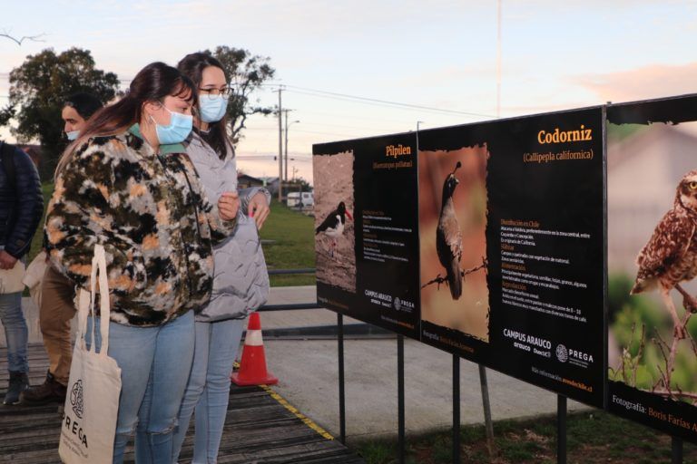 Duoc UC Campus Arauco inauguró exposición fotográfica para relevar la importancia de los humedales en la comuna