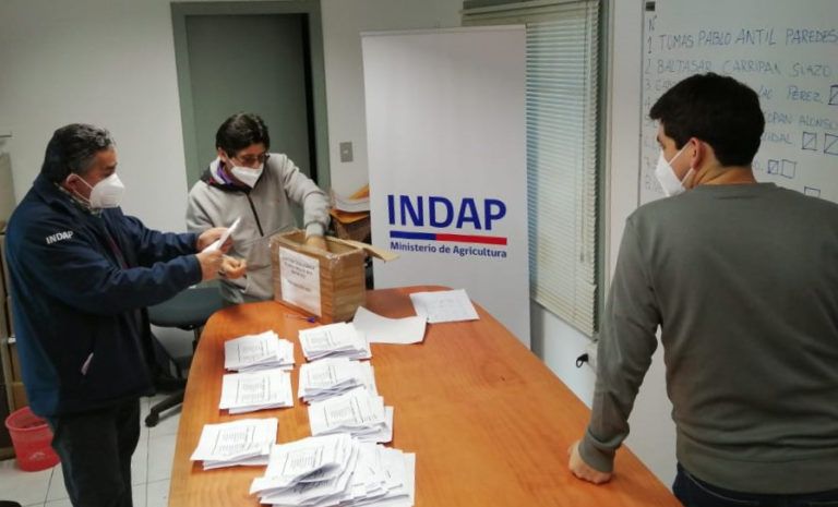 Con la participación de 124 dirigentes campesinos se realizó la votación para conformar la directiva del Comité de Agencia de Área de INDAP en Tirúa