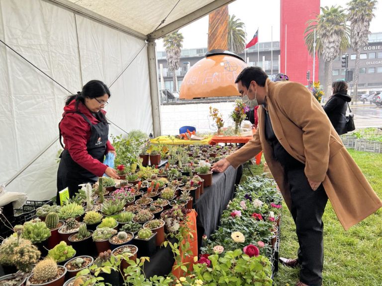 Después de 3 años, vuelve la Feria de las Flores a Concepción
