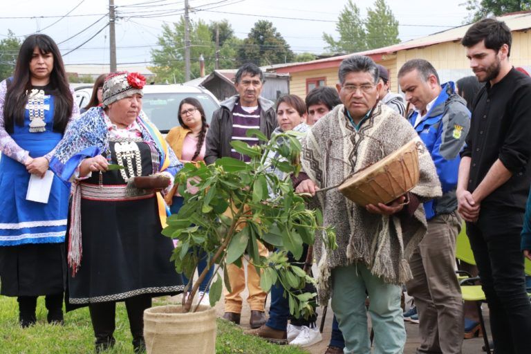 EN LOS ÁLAMOS DICTARÁN CLASES DE LENGUA MAPUCHE