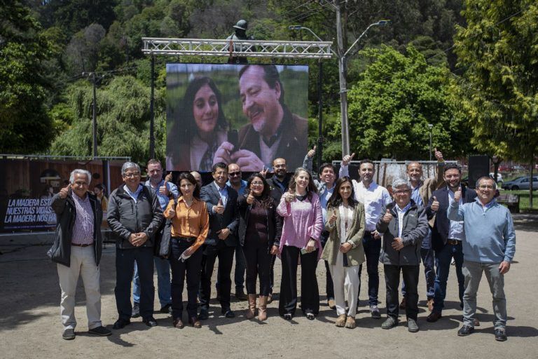 Lanzan campaña para promover las virtudes del uso de la madera