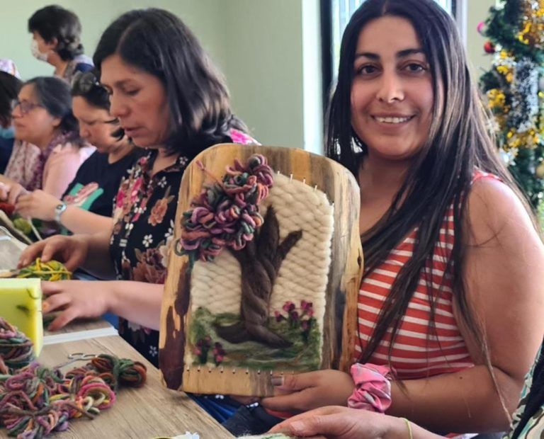 En Arauco mujeres de barrio Pescador se capacitan en taller de vellón