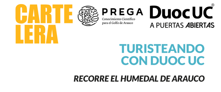 Duoc UC Campus Arauco tiene una serie de actividades de extensión para este semestre