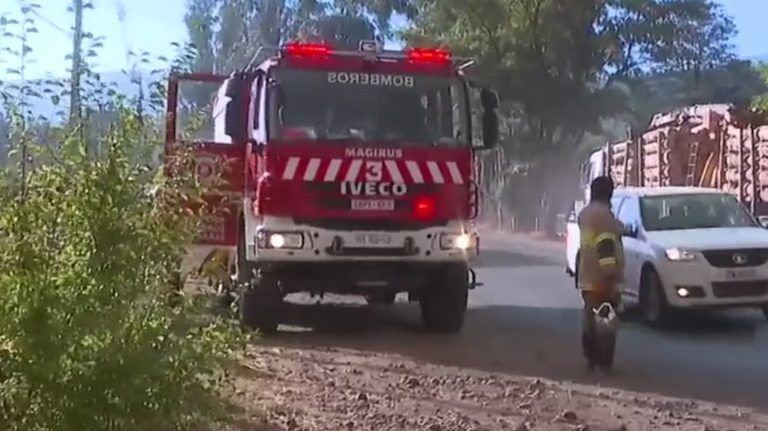 Purén bajo llamas: al menos 7 sectores son evacuados debido a los intensos incendios forestales